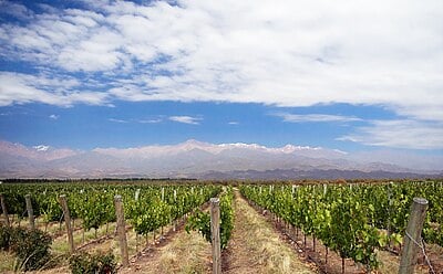 What type of sports are popular among adventure travelers in Mendoza?