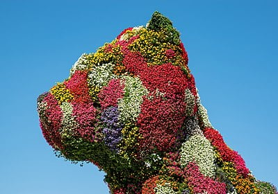 What material is often used in Jeff Koons' sculptures?