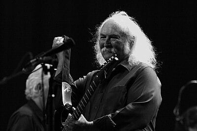 What genres best describes David Crosby?[br](select 2 answers)