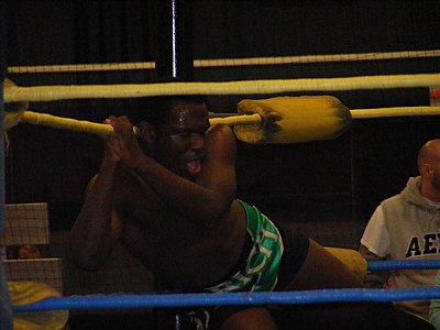Did Rich Swann ever win the Open the Triangle Gate Championship?