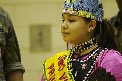 What is the Sisseton Wahpeton Oyate also known as?