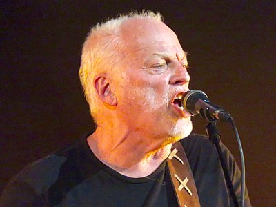 How would you describe David Gilmour's voice type?