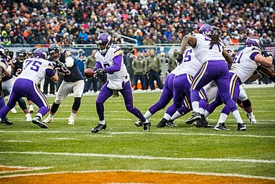 Who did the Vikings lose to in their 2015 Wild Card game?