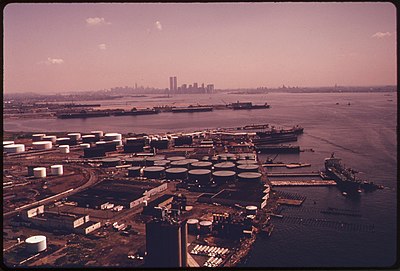 What is the primary purpose of the Port of New York and New Jersey in Bayonne?