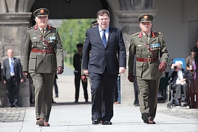Did Brian Cowen receive criticism for his handling of the crises?