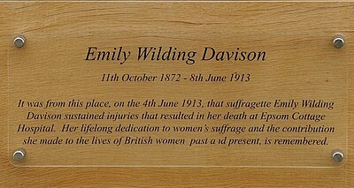 Which horse hit Emily Davison at the 1913 Derby?