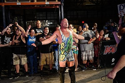 In which wrestling promotion did Rob Van Dam gain mainstream popularity?