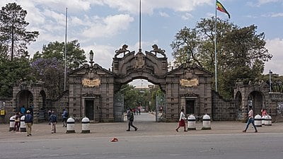 What is Addis Ababa's population according to the 2007 census?