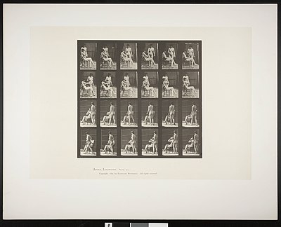 What did Muybridge exhibit in 1868?