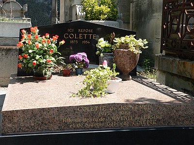 Colette is best known for which novella in the English-speaking world?