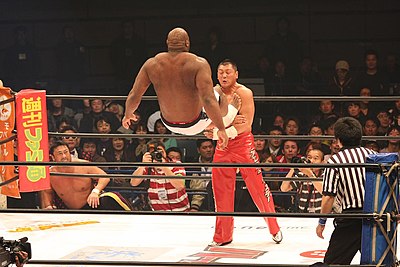 Bob Sapp made a transition from professional wrestling to which sport?