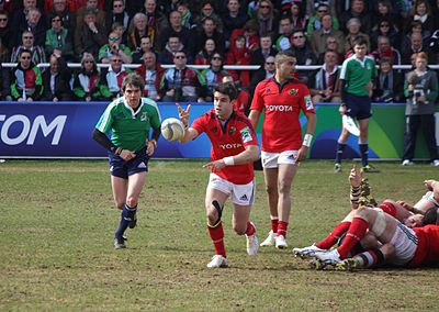 What is Conor Murray's jersey number for Munster?