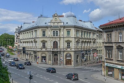What is the main function of the Association of Polish Cities?