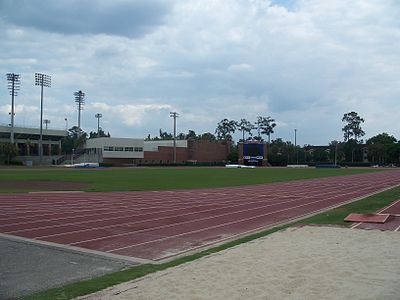 How many women's sports teams does the University of Florida field?