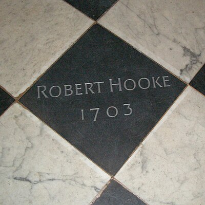 What position did Robert Hooke hold at the Royal Society since 1662?