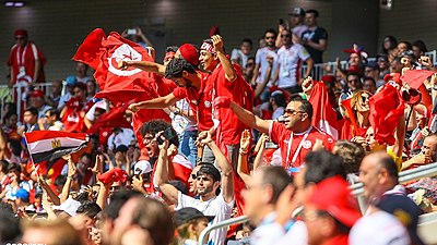 In which stadium does Tunisia usually play their home matches?