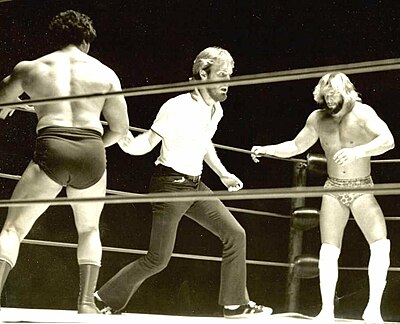 In which movie did Randy Savage play the wrestler Bonesaw McGraw?