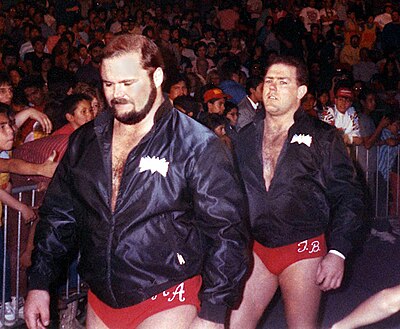 What is Arn Anderson's ring name?