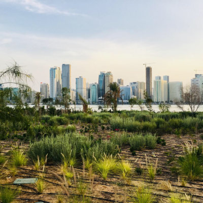 What is the contribution of Sharjah to the GDP of the United Arab Emirates?