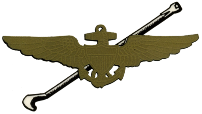 What is the principal interest of the Tailhook Association?