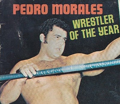 Was Pedro Morales ever inducted into the Wrestling Observer Newsletter Hall of Fame?