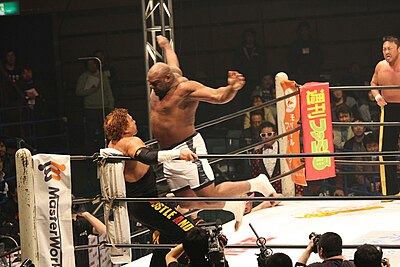 In his acting career, Bob Sapp has appeared primarily on what type of Japanese media?