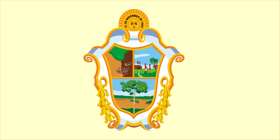 What is the primary research institution located in Manaus?