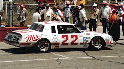 Where did Bobby Allison's sons Clifford and Davey race professionally?