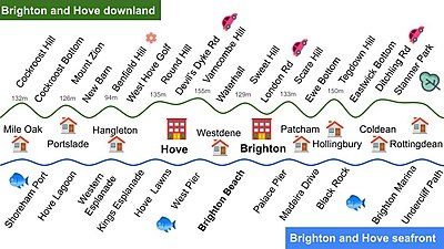 What is the status of Brighton and Hove in East Sussex, England?