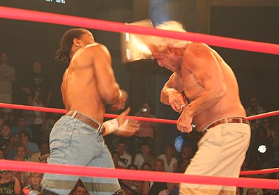 Who was Jay Lethal's tag team partner in TNA as The Lethal Consequences?