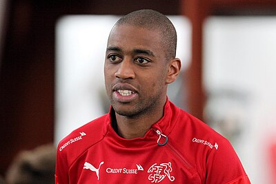 Is Gelson Fernandes still playing professionally?