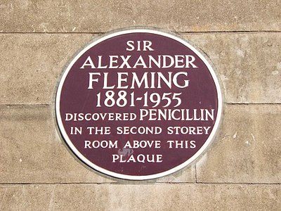 In which year was Alexander Fleming knighted?
