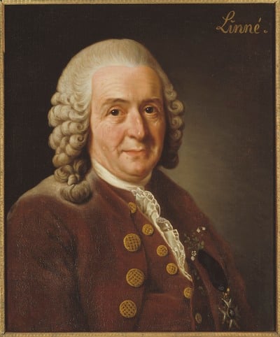 Can you tell me the location of Carl Linnaeus's death?