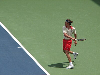 In which year did Dancevic become the captain of the Canadian Davis Cup team?