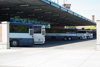 What is the primary color of Greyhound Lines' buses?