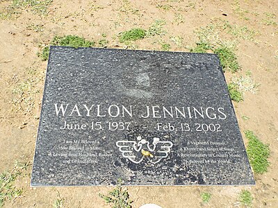 What addiction did Waylon Jennings overcome in 1984?