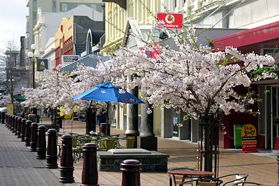 Invercargill is bordered by large areas of what?