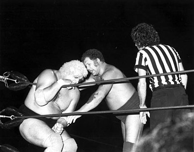 Which famous tag team was trained by Harley Race?