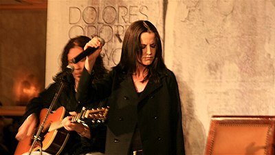 Which fields of work was Dolores O'Riordan active in? [br](Select 2 answers)