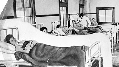 How many people did Mary Mallon infect with typhoid fever?