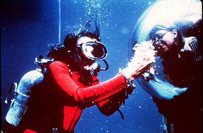 What does Sylvia Earle argue commercial fishing is akin to?