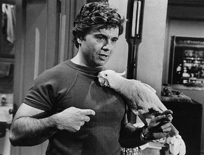 Robert Blake received an award for [url class="tippy_vc" href="#502515"]Baretta[/url] in 1975. Could you tell me what award it was?