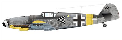 Which fighter wing did Barkhorn fly with initially?