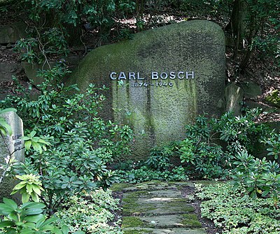 What was Carl Bosch's main contribution to the field of chemistry?