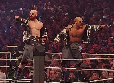 What is Sheamus' signature finishing move?