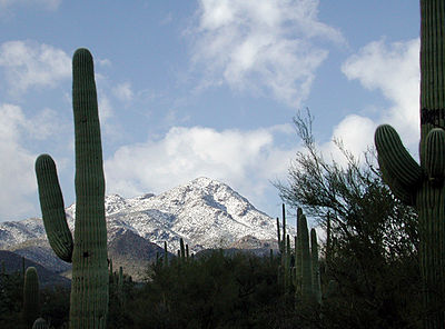 Which of the following cities or administrative bodies are twinned to Tucson?[br](Select 2 answers)