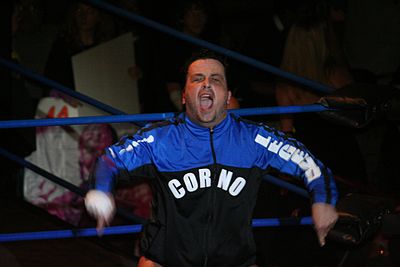 Which wrestling championships Steve Corino held twice each often?