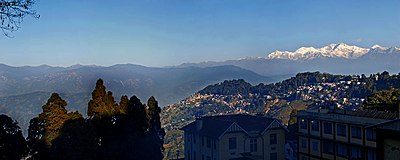 What crop was successfully grown on the slopes below Darjeeling?