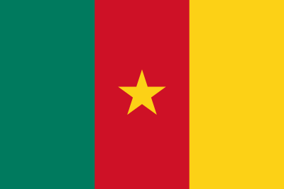 Which country did Cameroon defeat twice with 1-0 scores in tournament play?