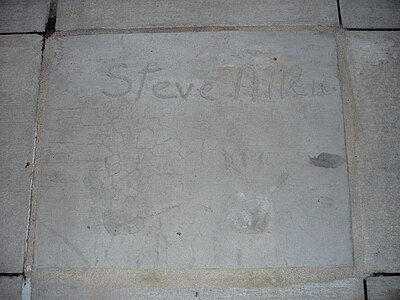 In which career did Steve Allen start in?